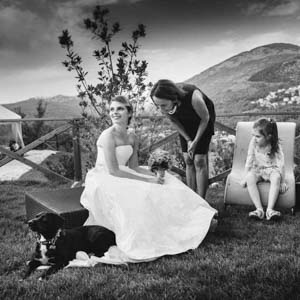 fotografo matrimonio Roma scena bucolica con cagnolino sul vestito della sposa