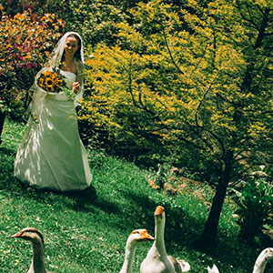 fotografia di una sposa in un giardino con papere nervose